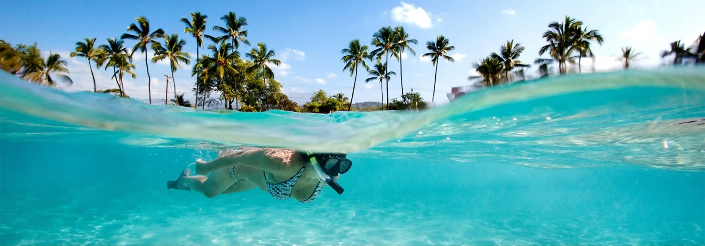 Person snorkeling in clear turquoise water near palm trees.