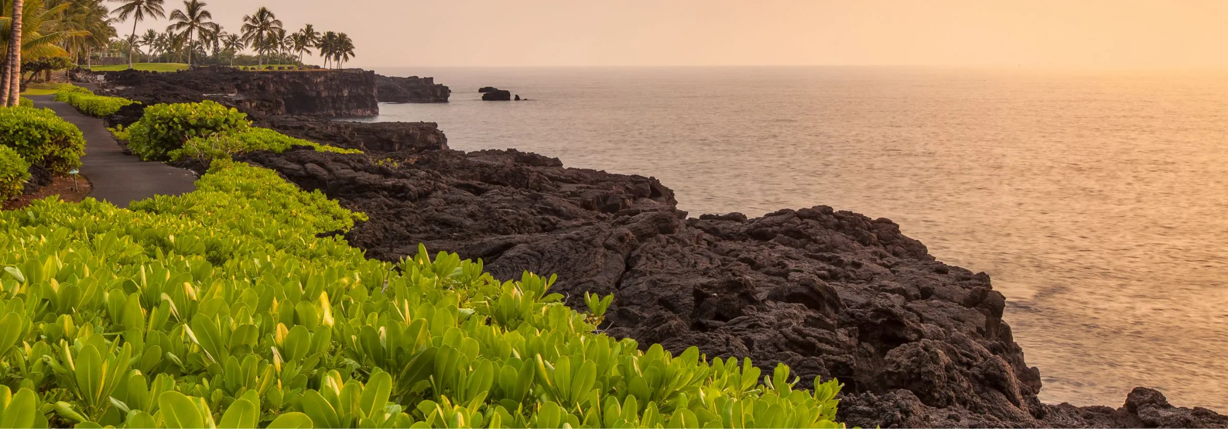 Rocky coastline with lush greenery and palm trees at sunset.
