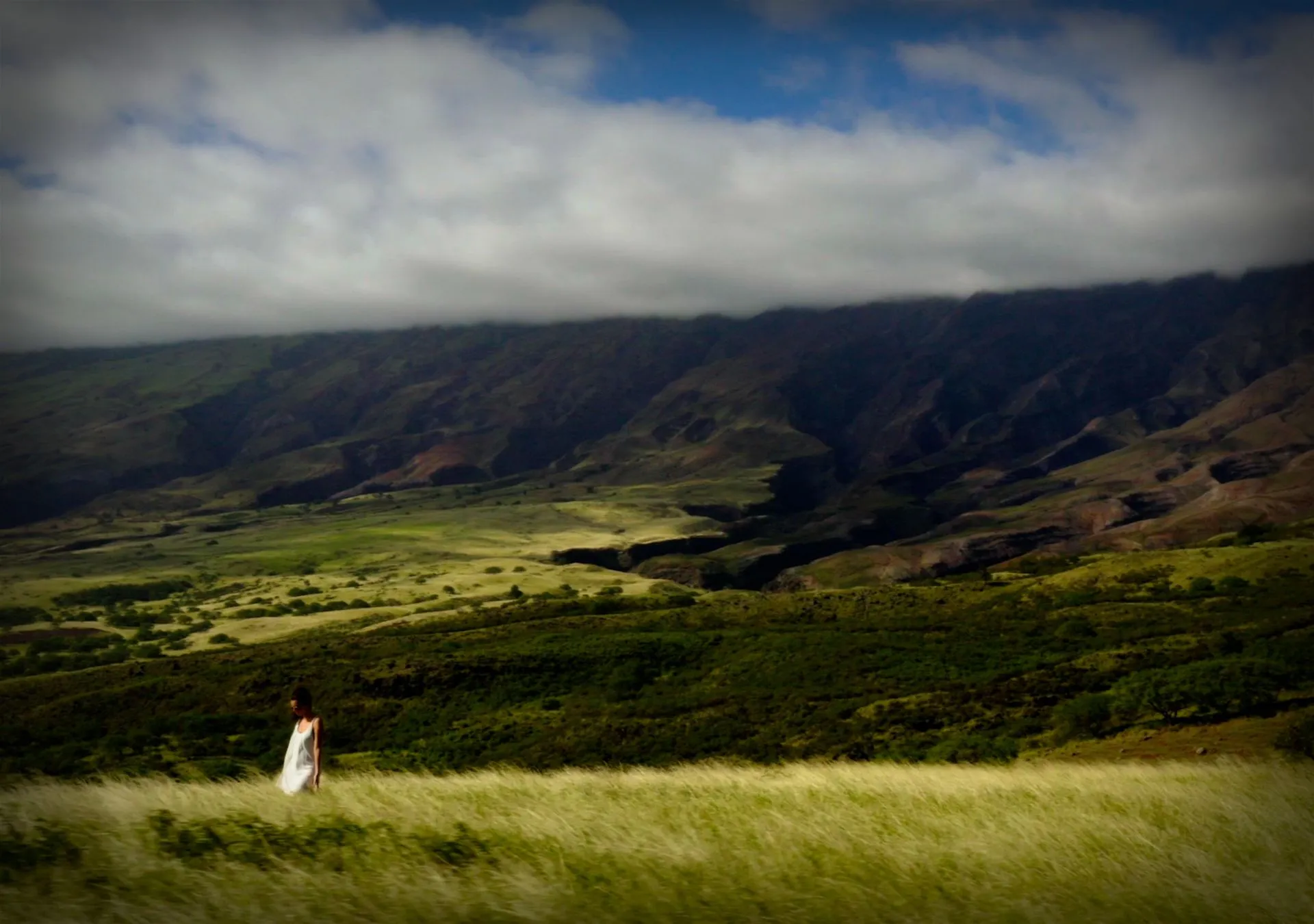 Person walking through grassy field with mountains in the background.