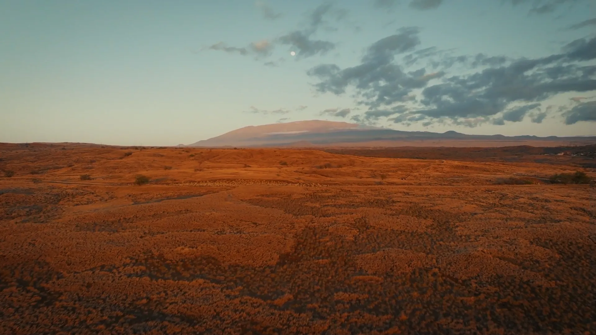 Person walking through grassy field with mountains in the background.