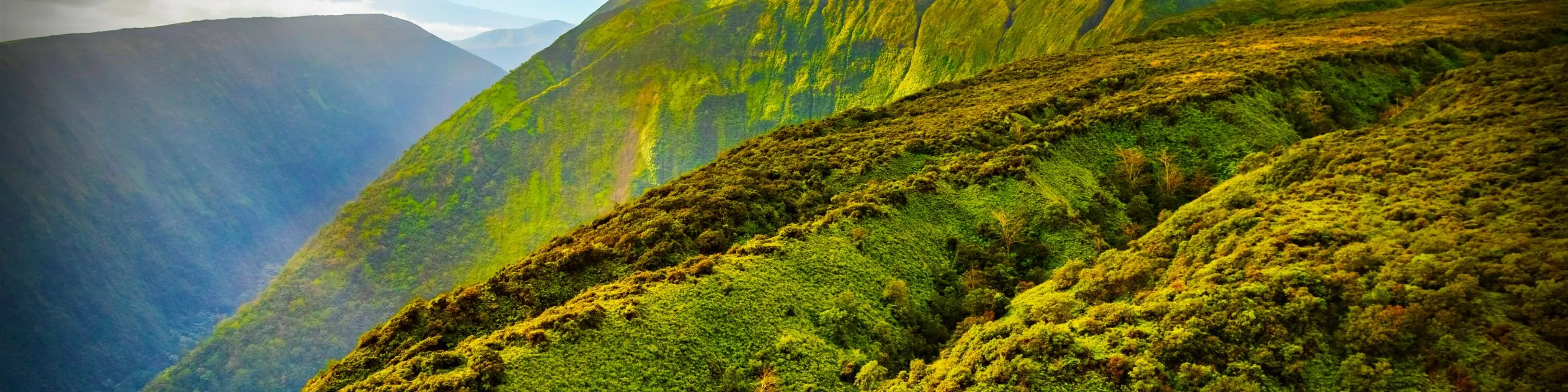 Lush green mountains with a misty valley in the background.