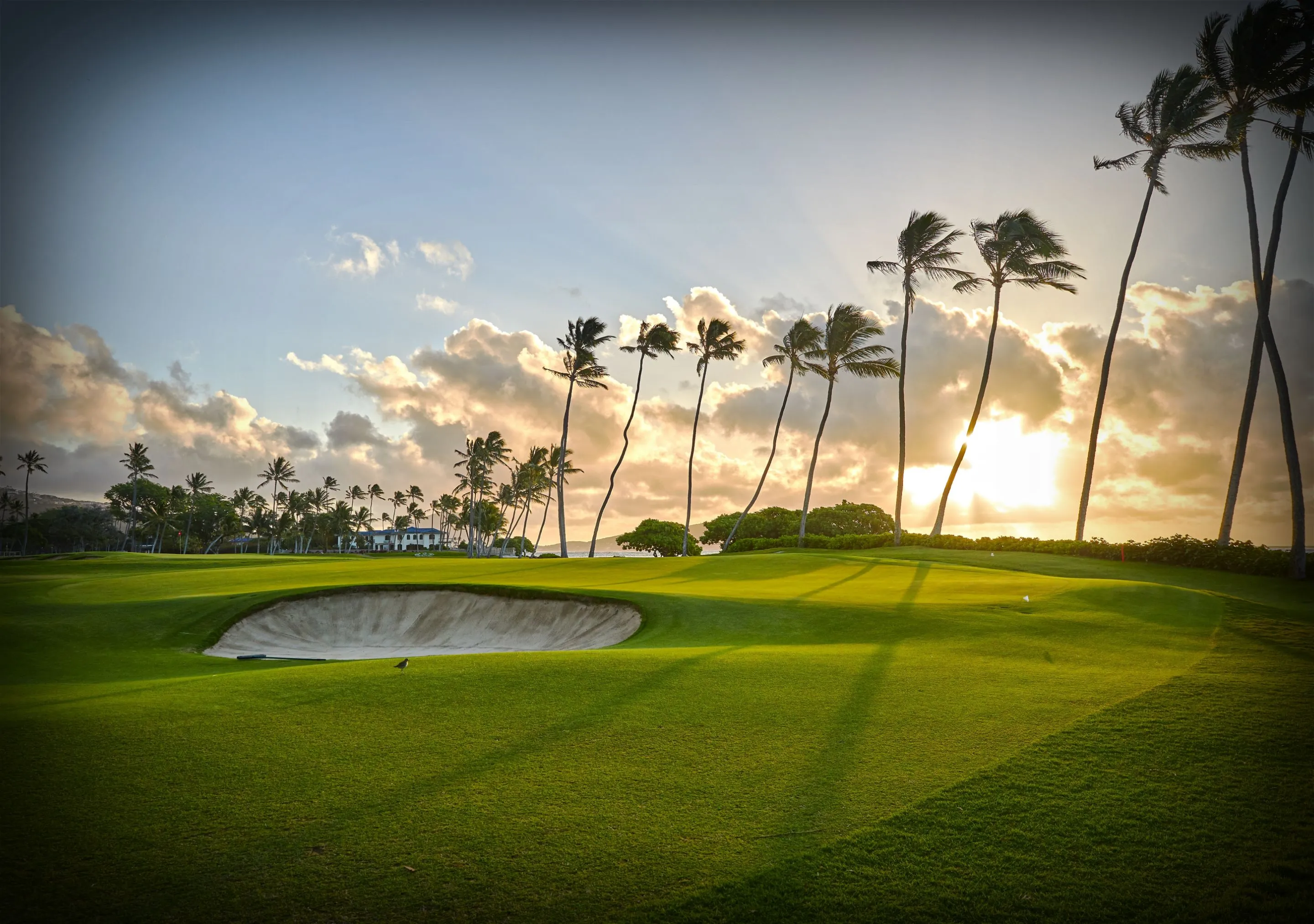 Golf course at sunset with palm trees and sand trap.
