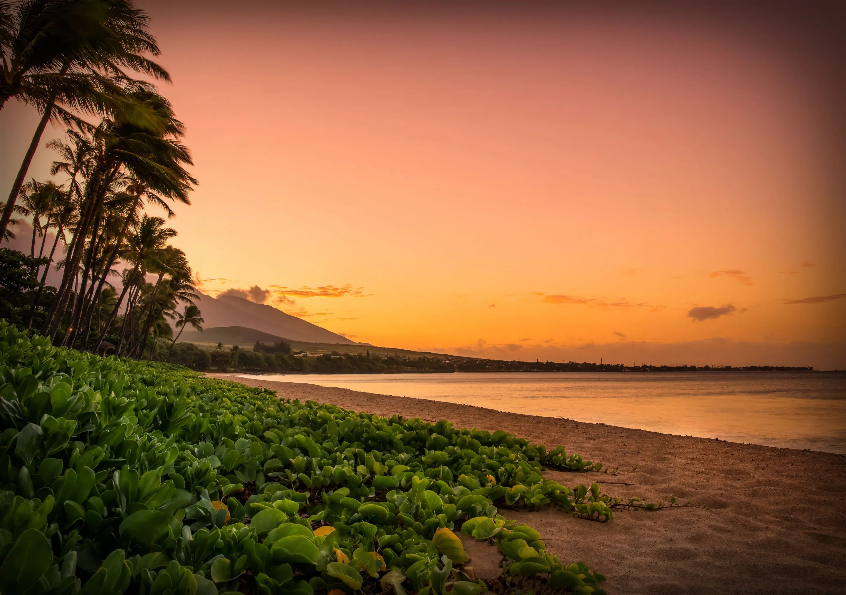 Sunset over a tropical beach with palm trees and mountains.